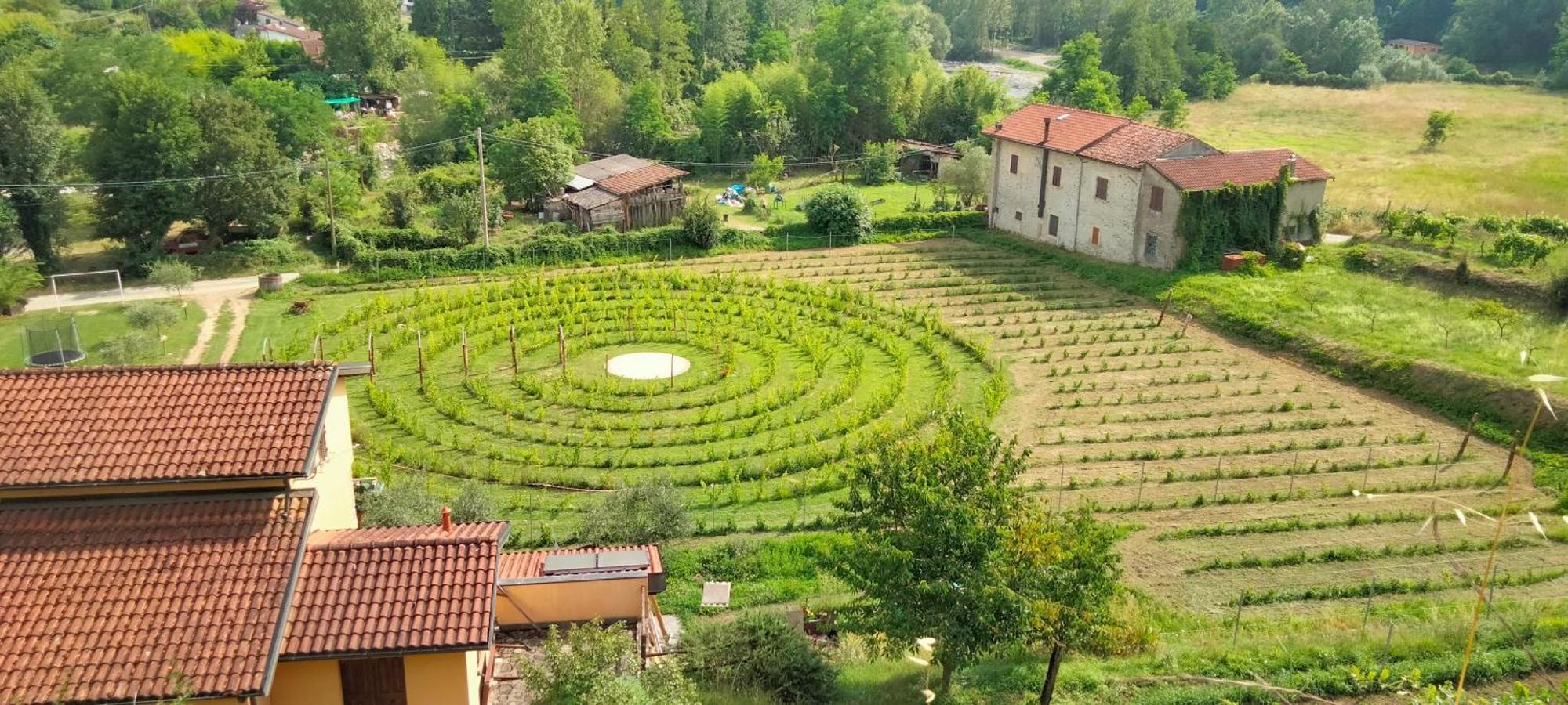 Agriturismo Il Poderetto Licciana Nardi Buitenkant foto